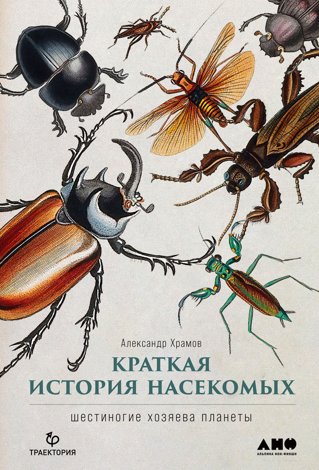 Краткая история насекомых обложка.